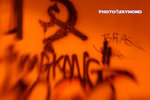 Snp_3801