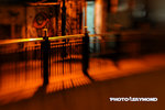 Snp_3809