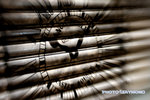 Snp_3862