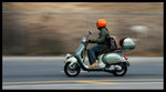 IMG_0450 copy