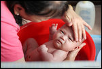IMG_0826 copy