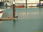 DSCF0971