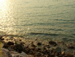 DSCF0991