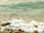 DSCF0994