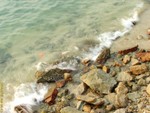 DSCF0998