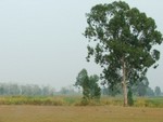 DSCF0483