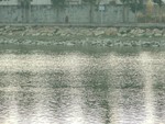DSCF0489