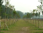 DSCF0493