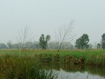 DSCF0497
