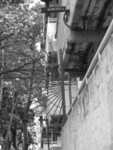 DSCF0884