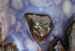 
Image002