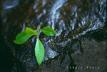 
Image004 copy