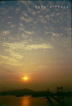 




Image022 copy