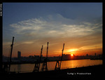 SANY0735 copy