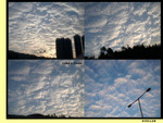 

Untitled-1 copy