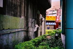 F1000017