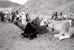 F1090009