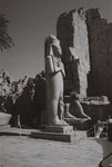 F1070023
