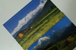 Post Cards