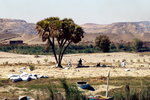 P2020290
