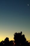 P2030361_1
