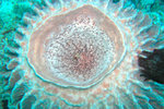 P1010143