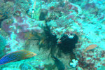 P1010171