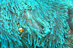 P1010176