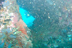 P1010180