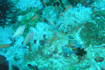 P1010188