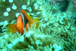 P1010282