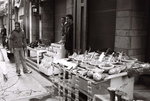 F1090031