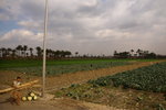 P1310060_1
