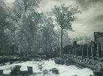 PA080238