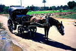 F1020020