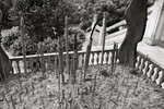 R0010079