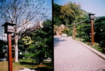 F1000021_1