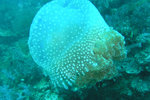 P1010675