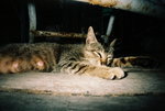 F1020010
