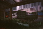 waiwaikon800_10a