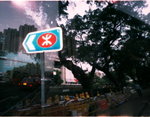 waiwaikon800_2a