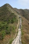 IMG_0374