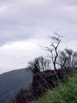P1010849