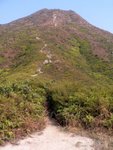 ���k�Q�OŢ
P1030276