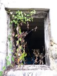 P1030652