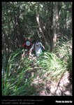 A-IMG_6388