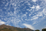 IMG_8021