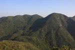 IMG_8376