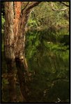 IMG_1778A