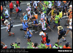 IMG_0919A